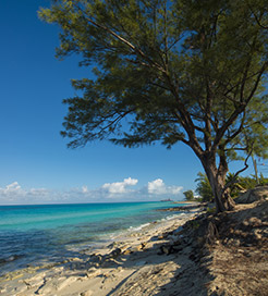 Bimini Islands