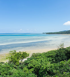 이리오모테 섬(Iriomote Island)