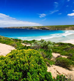 캥거루 섬(Kangaroo Island)